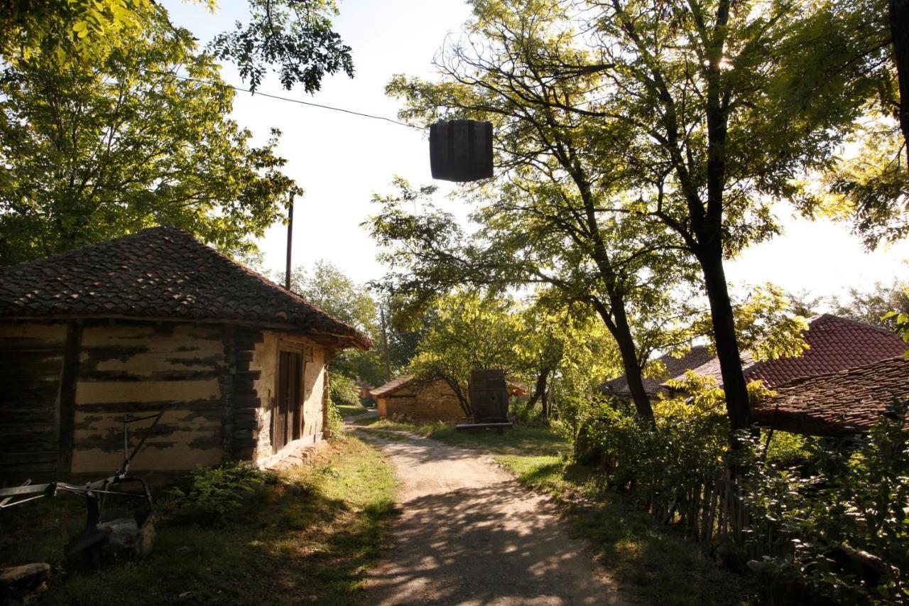 "Pivnica I Smestaj Jovanovic"- Rogljevacke Pivnice Rogljevo 外观 照片